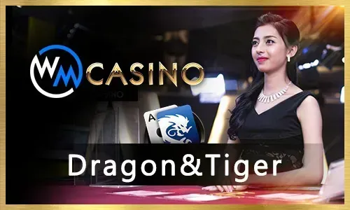 Sports betting on Bigbunny Casino App